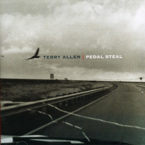 the album cover for Terry Allen - Pedal Steel