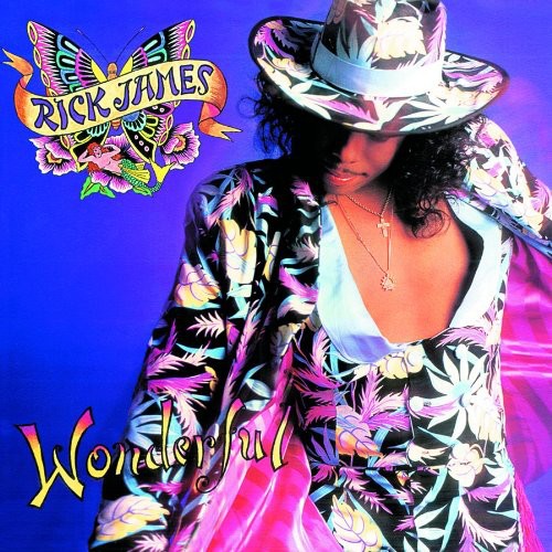 the album cover for Rick James - Wonderful