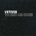 the album cover for Vetiver - To Find Me Gone