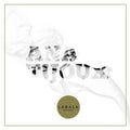 the album cover for Ana Tijoux - La Bala