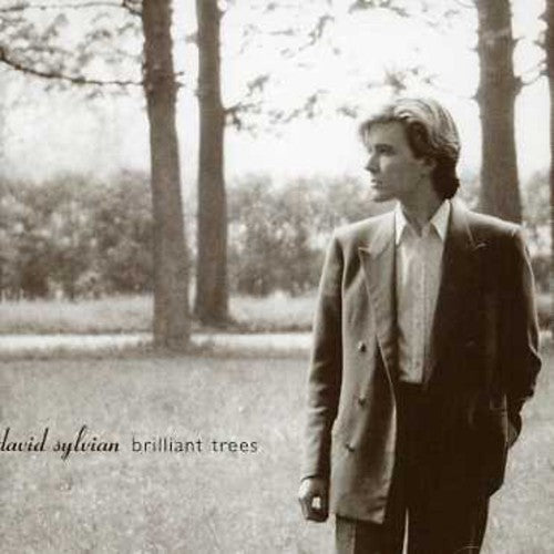the album cover for David Sylvian - Brilliant Trees [Import]