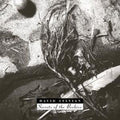 the album cover for David Sylvian - Secrets Of The Beehive [Import]