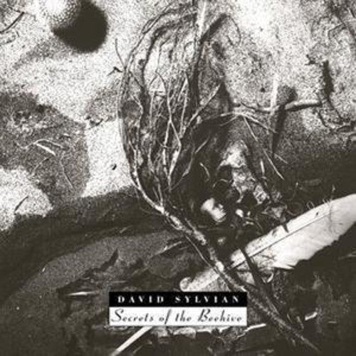 the album cover for David Sylvian - Secrets Of The Beehive [Import]