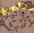the album cover for Tunng - Comments Of The Inner Chorus