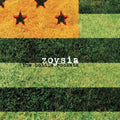 the album cover for The Bottle Rockets - Zoysia
