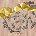 the album cover for Tunng - Comments Of The Inner Chorus [Limited Edition]