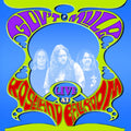 the album cover for Gov't Mule - Live at Roseland Ballroom