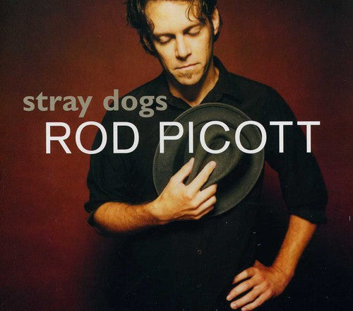 the album cover for Rod Picott - Stray Dogs