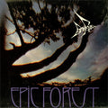 the album cover for Rare Bird - Epic Forest [Import]
