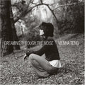 the album cover for Vienna Teng - Dreaming Through the Noise