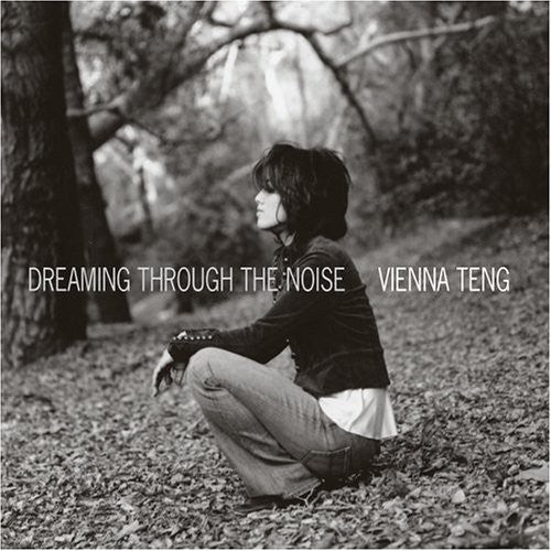 the album cover for Vienna Teng - Dreaming Through the Noise