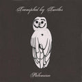 the album cover for Trampled By Turtles - Palomino [Digipak] *