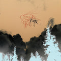 the album cover for Comets On Fire - Avatar