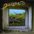 the album cover for Guillemots - Through The Windowpane [Import]