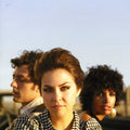 the album cover for Ettes - Shake the Dust