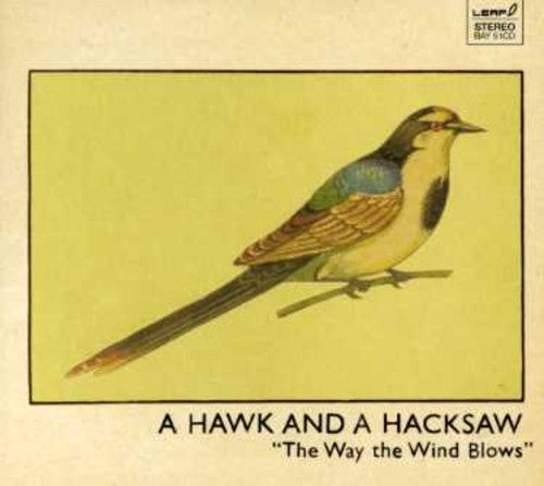 the album cover for A Hawk & A Hacksaw - The Way The Wind Blows