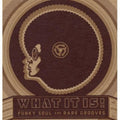 the album cover for What It Is! Funky Soul & Rare Grooves 1967-1977 - What It Is: Funky Soul & Rare Grooves / Various