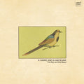 the album cover for A Hawk And A Hacksaw - The Way The Wind Blows