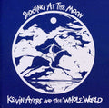 the album cover for Kevin Ayers - Shooting at the Moon