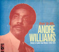 the album cover for Andre Williams - Greasy & Explicit Soul Movers 1956-1970