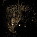 the album cover for Wolves In The Throne Room - Two Hunters