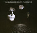 the album cover for The Sisters Of Mercy - Floodland [Import]
