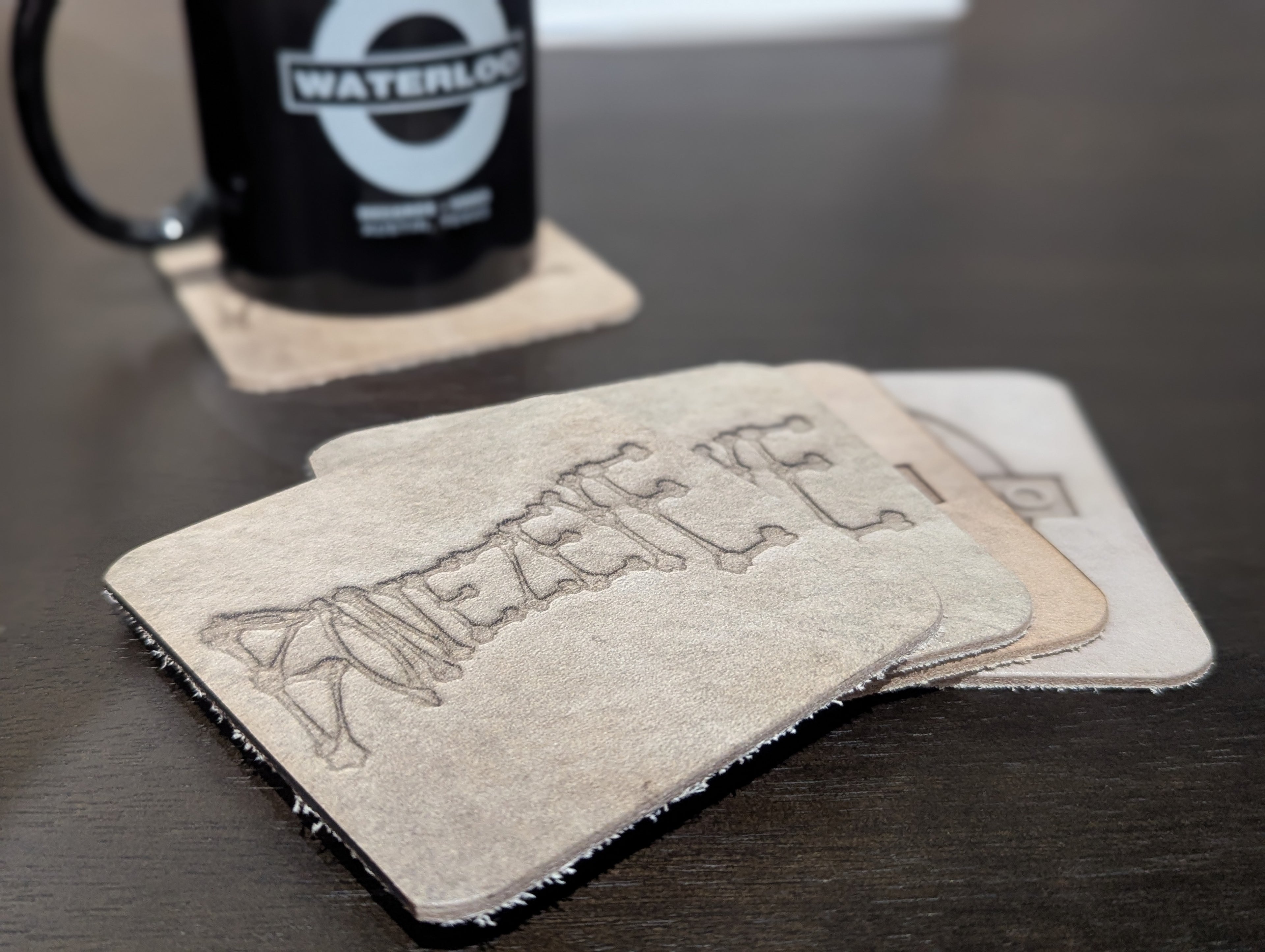 Waterloo Records & V - Coaster-Leather/Asstd [LICENSED MERCHANDISE]