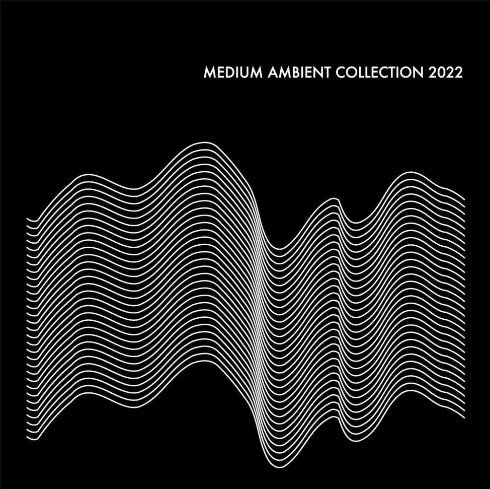 Various Artists - Medium Ambient Collection 2022 Black [Vinyl]